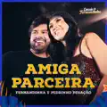 PEDRINHO PEGACAO