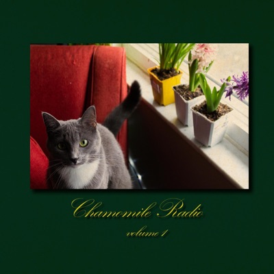 chamomile radio #1 - Single