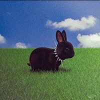 NUNCA ES SUFICIENTE CUANDO SE TRATA DEL AMOR (feat. ASTUCIA) - Single - Too Young To Die