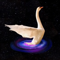 111 bpm - Single - NEBULARA