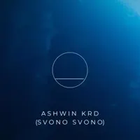 Into Sunsets — svono svono