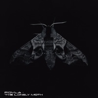 The Lonely Moth - Single - FOVLA