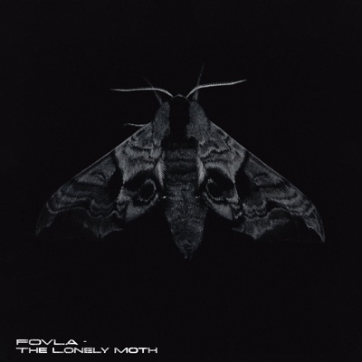 The Lonely Moth - Single