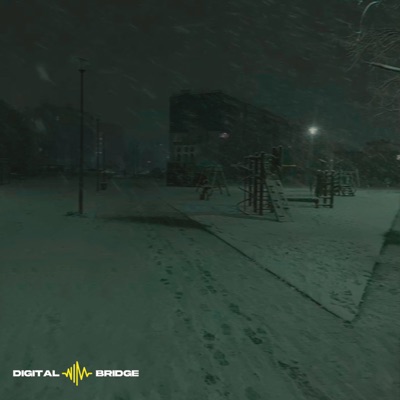 Digital Bridge - Dripstone