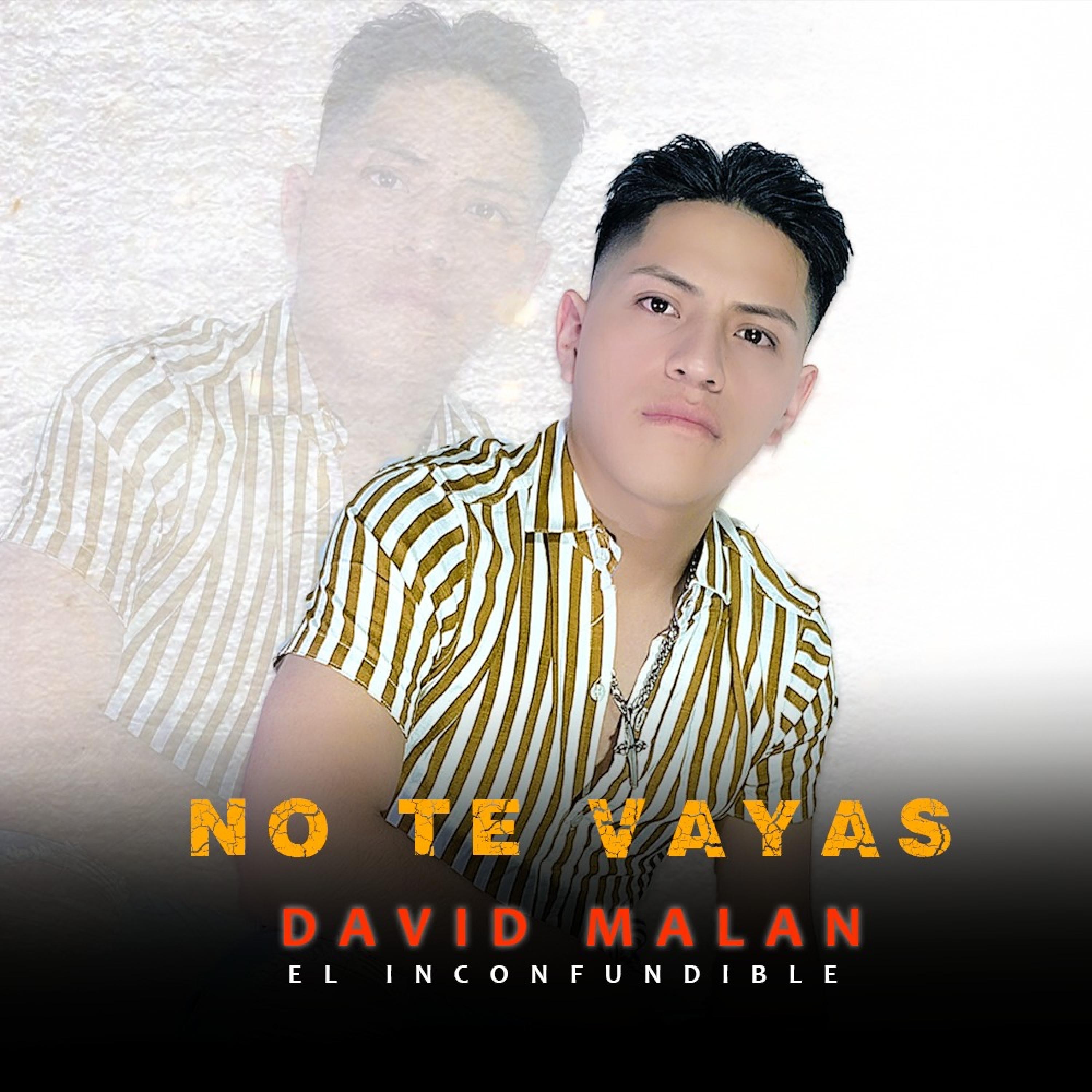 NO TE VAYAS - Single