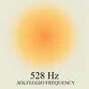 528 Hz Full Body Aura Cleanse