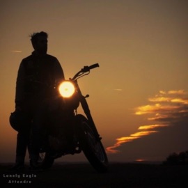 Attendre Lonely Eagle