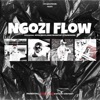 Ngozi Flow - Single (feat. Myga Skyy, Flawzkidd & Soultheartist) - Single