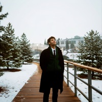 Я люблю тебя любой - Single - The Brookln