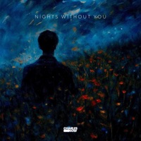 Nights Without You - Single - Charles Now