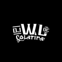 MEGA RITMO LOUCO NO BEAT SERIE GOLD - Single - DJ WL