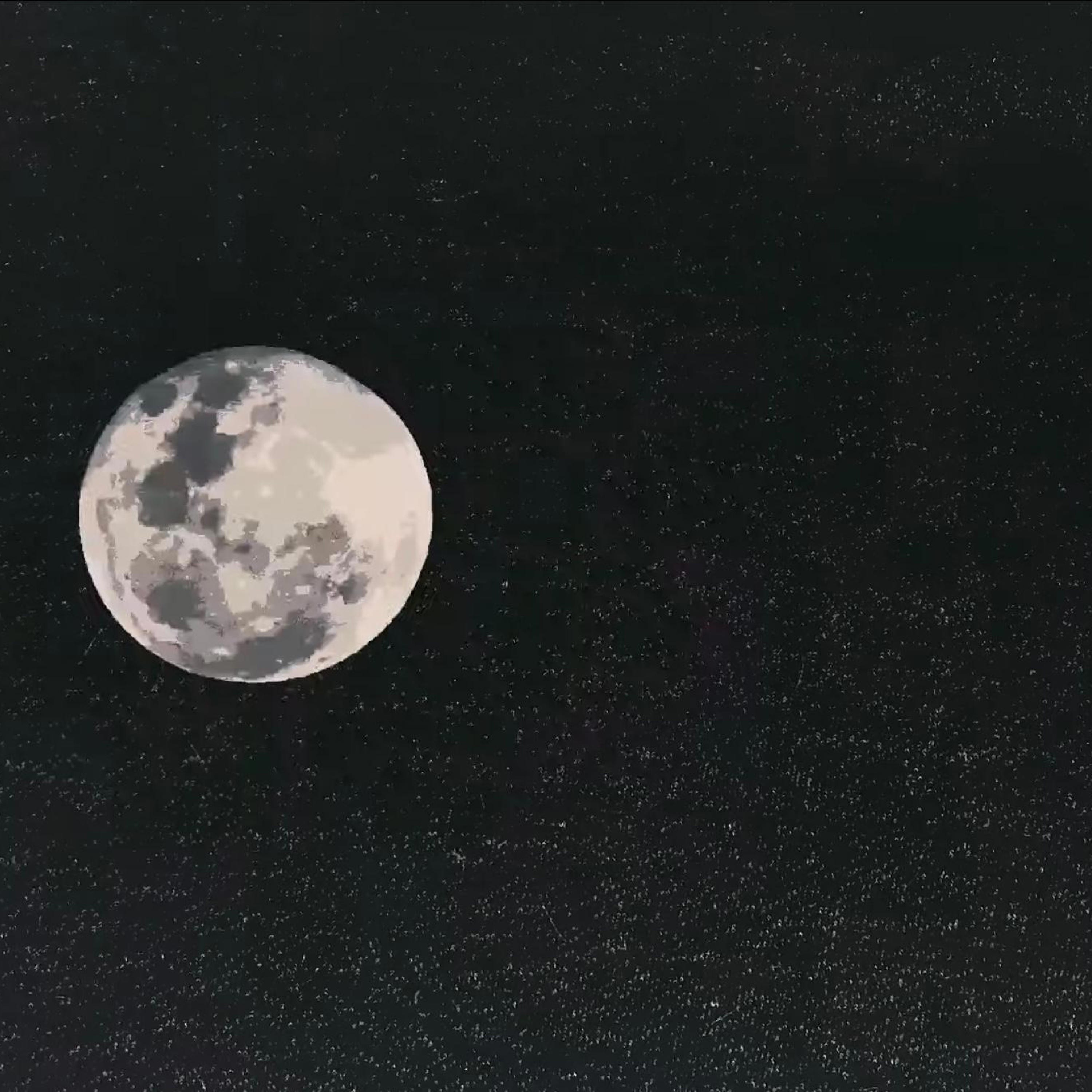 Bailando Hasta Caer - Single