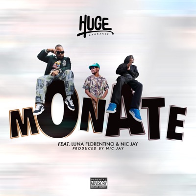 Monate (feat. Luna Florentino & Nic Jay) - Single