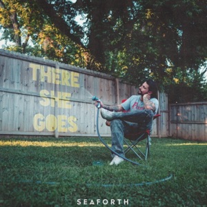THERE SHE GOES - Single