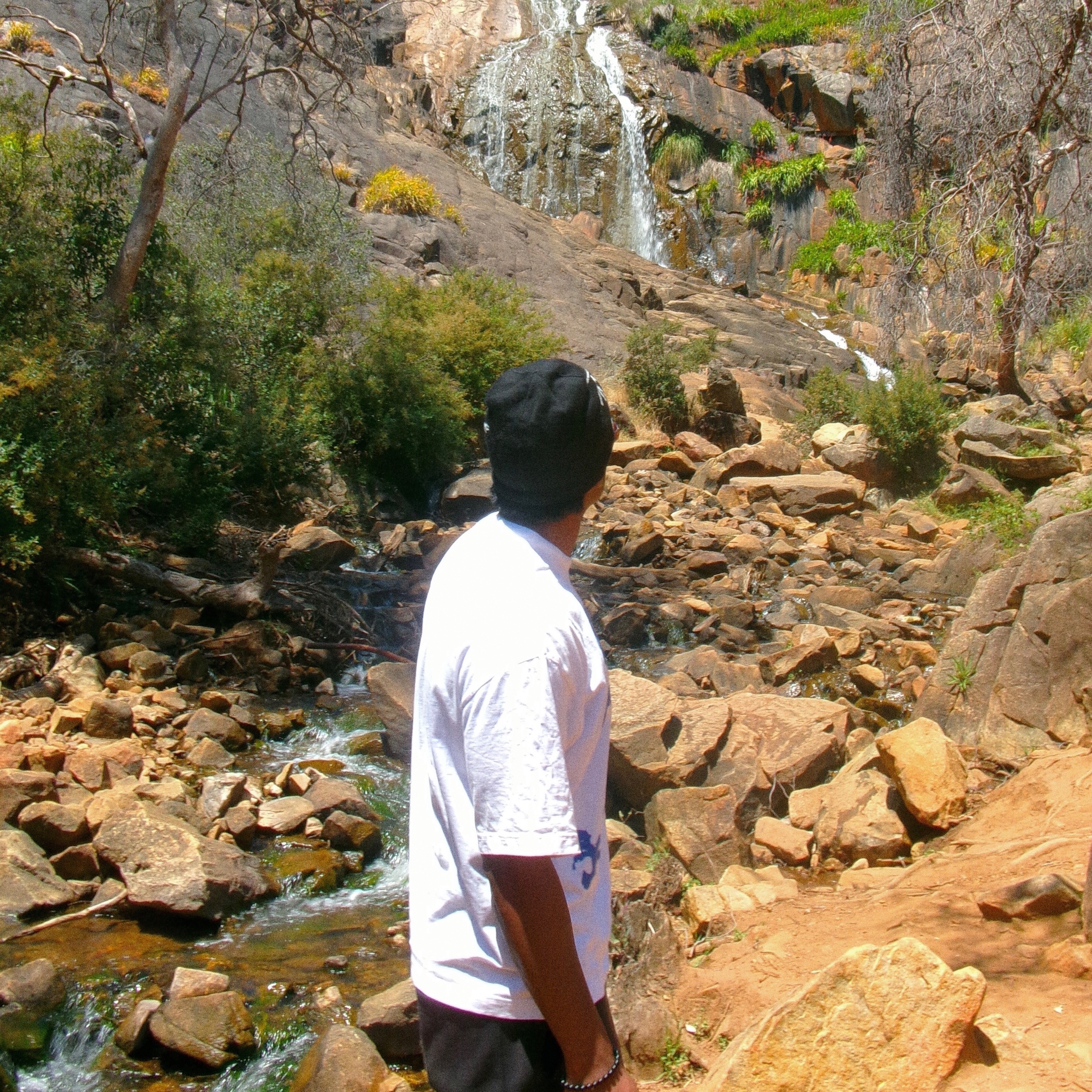 DAY DREAMING - Single