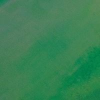 Now Act Now - Single - Santiparro