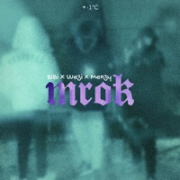 Mrok - Single - Bibi, Wezi & Menzy