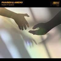 How It Goes (Extended Mix) - Single - Pharien & Amero
