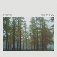 Say It To Me Now - Single - Technicyan