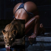 Львица - Single - Твизи