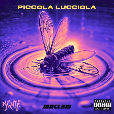 PICCOLA LUCCIOLA - Single