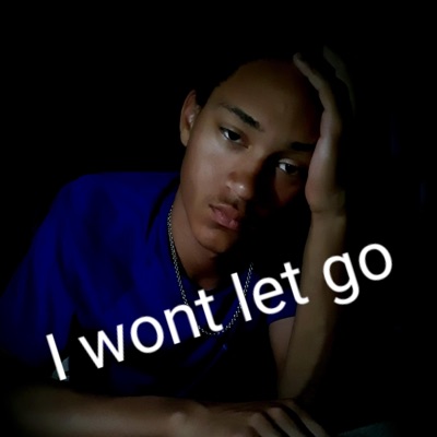 I wont let go - Single