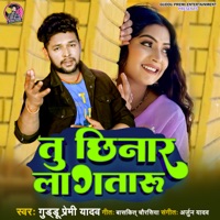 Tu Chhinar Lagataru - Single - Guddu Premi Yadav