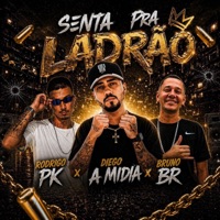 Senta pra Ladrão - Single - Diego a Midia, Bruno BR & rodrigo pk