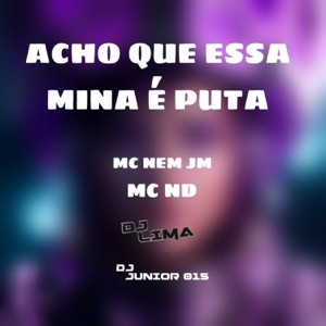 Acho Que Essa Mina É Puta (feat. MC ND)