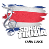Caña Dulce - Son de Tikizia