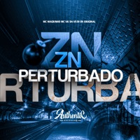 Zn Perturbado - Single - DJ DX ORIGINAL, Mc Magrinho & MC VK DA VS
