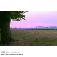 better like this / hikari - Single - tarozan