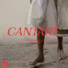 Cantaré