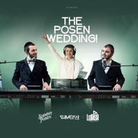 The Posen Wedding! - Leibish Posen, Shimmy Posen & Shmelka Posen