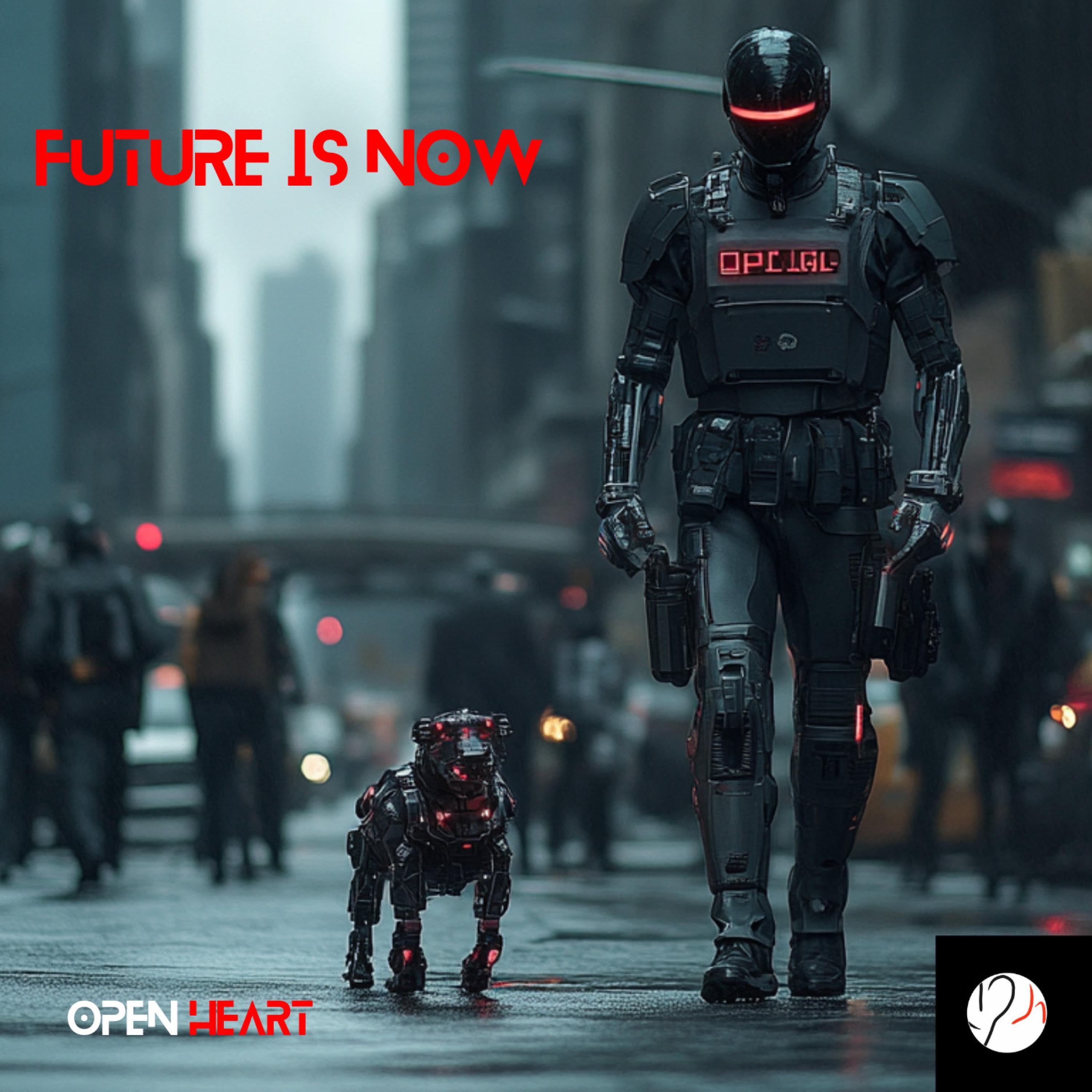 Future is Now - Single