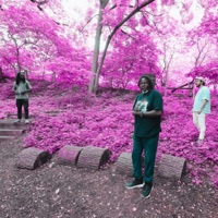 Water Shapes Stone (feat. G. Calvin Weston & Timothy Ragsdale) - Single - Paul Giess