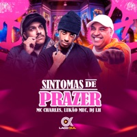 Sintomas de Prazer 2 - Single - Lukão Mec, Mc Charles & DJ LH