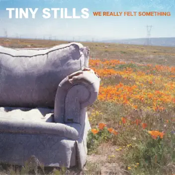 We Really Felt Something album cover