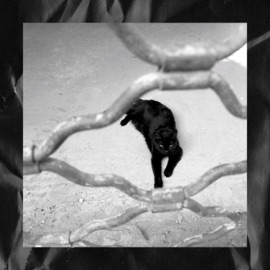 Alright (feat. Leor Yehuda) Sparks Across Darkness