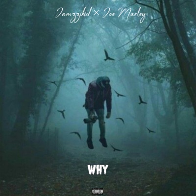 Why (feat. Joe Marley) - Single