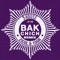 Bakchich (Remix) [feat. Zicol & 15GR] - 9 House lyrics