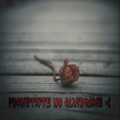 PROMETISTE NO OLVIDARME :( - Single