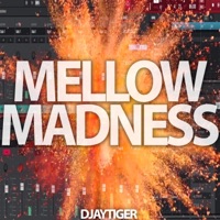 Mellow Madness - Single - Djaytiger