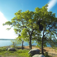 CompositionGroundZer0 (feat. Ariel, Michael & Raphael) - Single - Scottydub