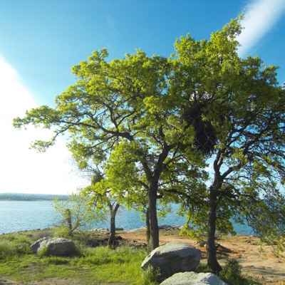 CompositionGroundZer0 (feat. Ariel, Michael & Raphael) - Single