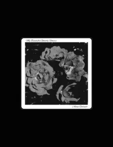 Listen to Adan Galindo, watch music videos, read bio, see tour dates & more!