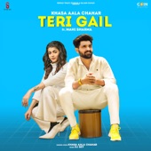 Teri Gail (feat. Mahi Sharma) artwork