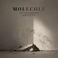 Molecole
