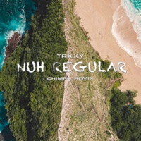 Nuh Regular (Chimpo Remix) - Single - Trxxy
