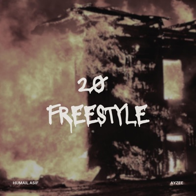 20 Freestyle (feat. Ali Zeeshan) - Single